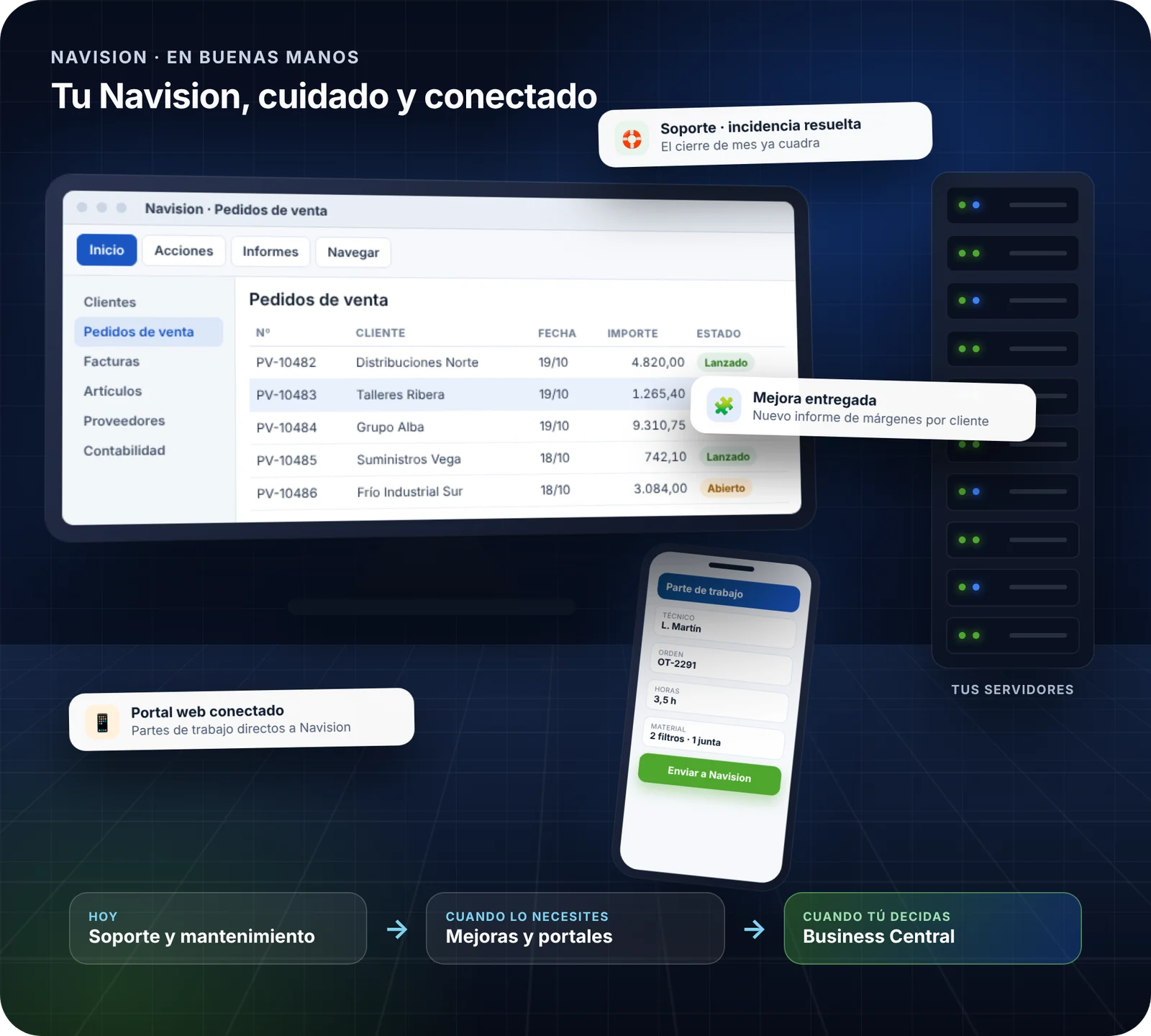Soporte, mejoras y portales web conectados a Navision, con el camino a Business Central cuando decidas